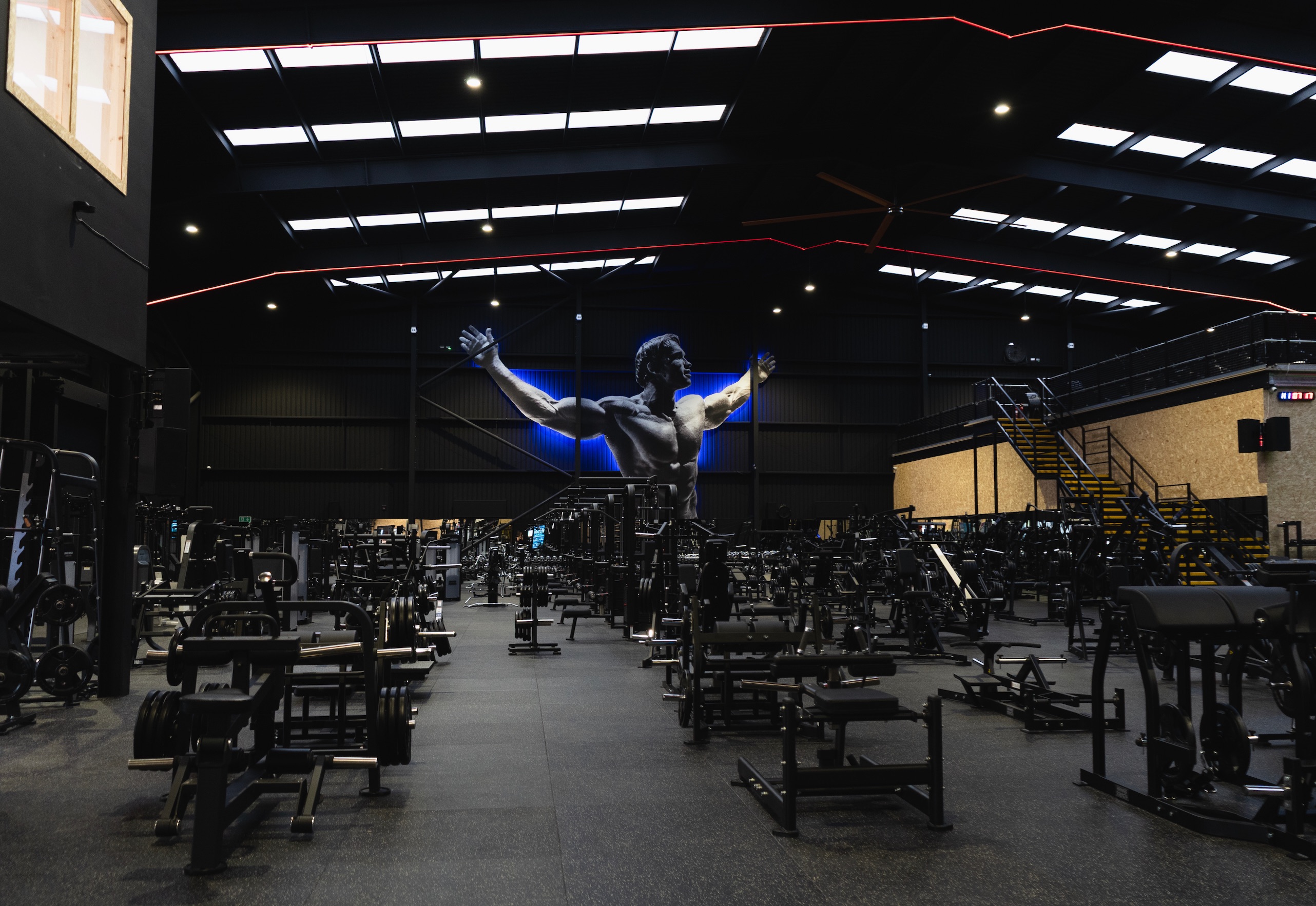 Liverpool gym floor
