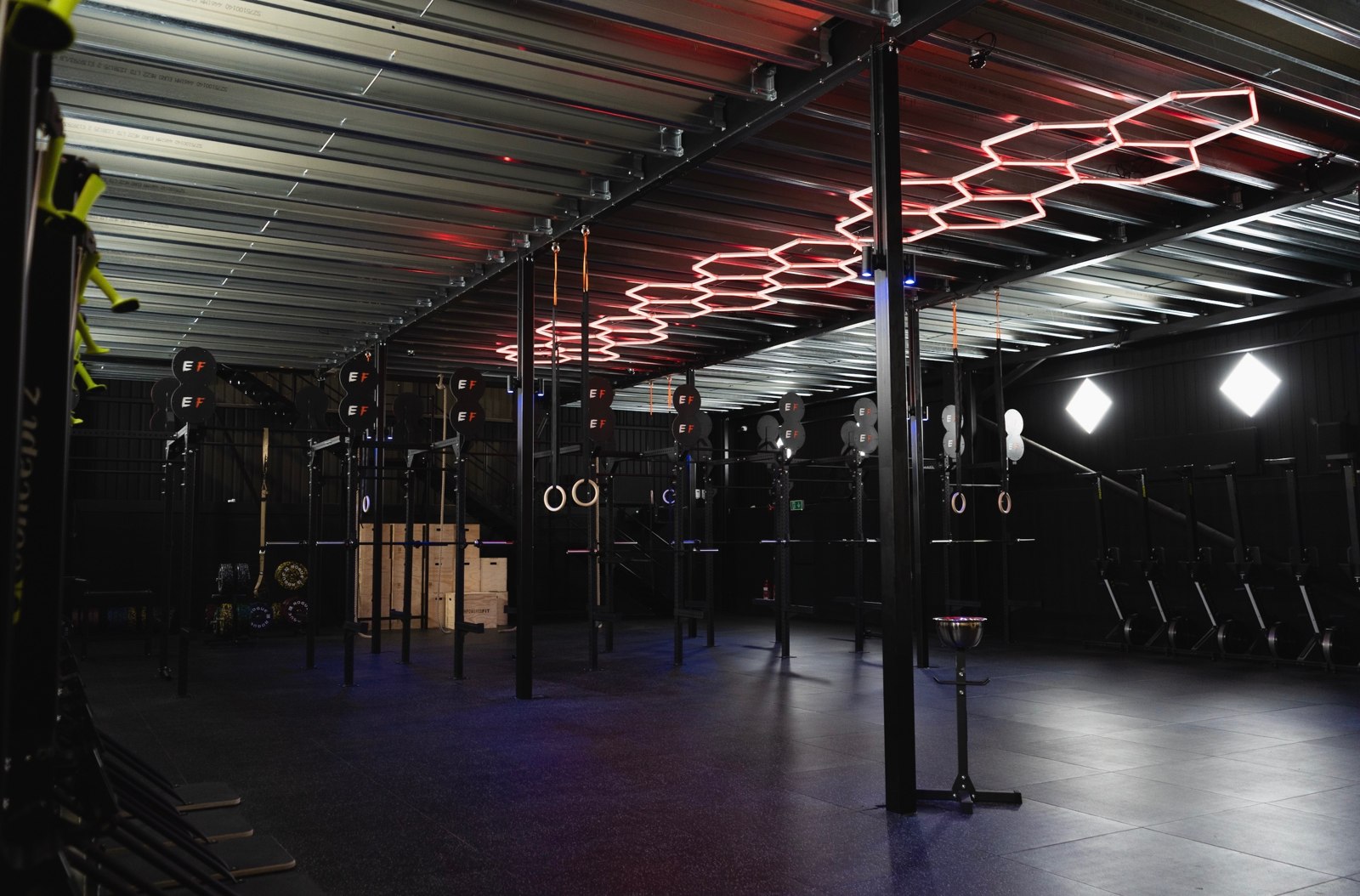 Liverpool functional training space with rigs and gymnastic rings